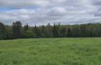 Terre/Terrain