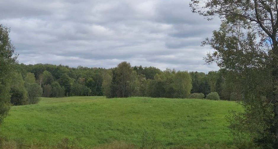 Terre/Terrain