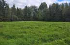 Terre/Terrain