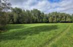 Terre/Terrain