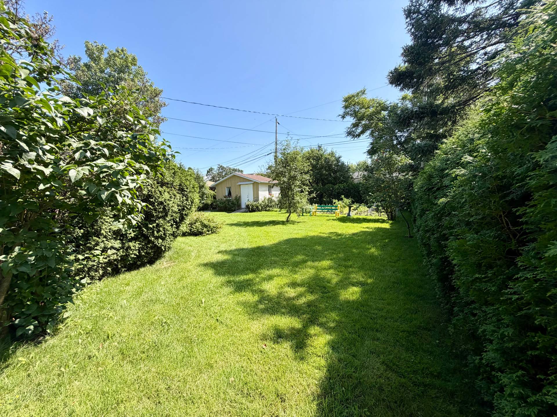 1299 Rue Hélène-Boullé — photo 3