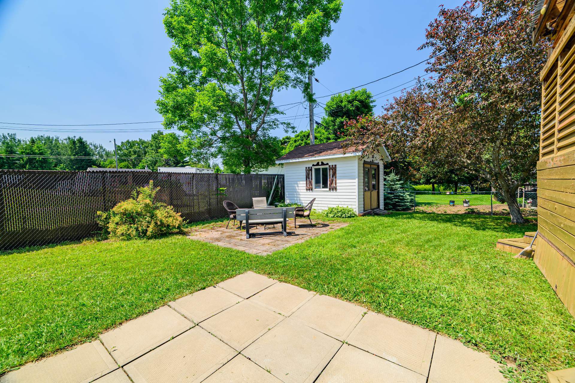 Backyard