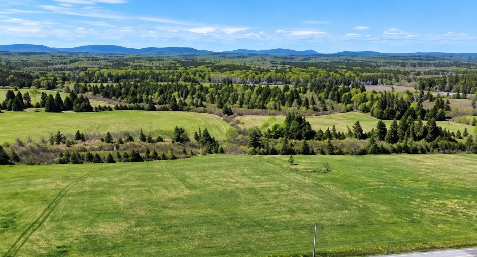 Terre/Terrain