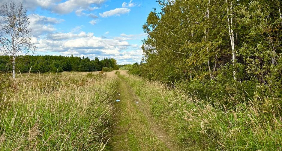 Land/Lot