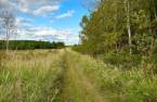 Land/Lot
