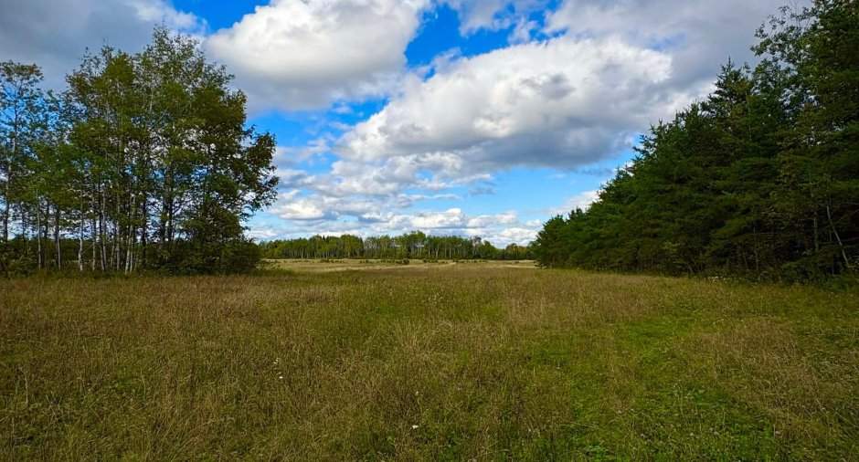Overall View
