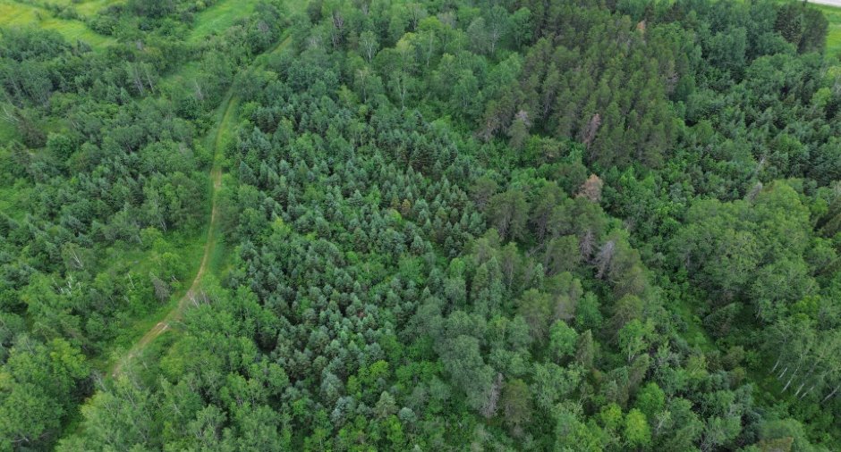 Aerial photo