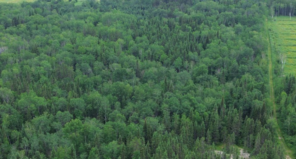 Aerial photo