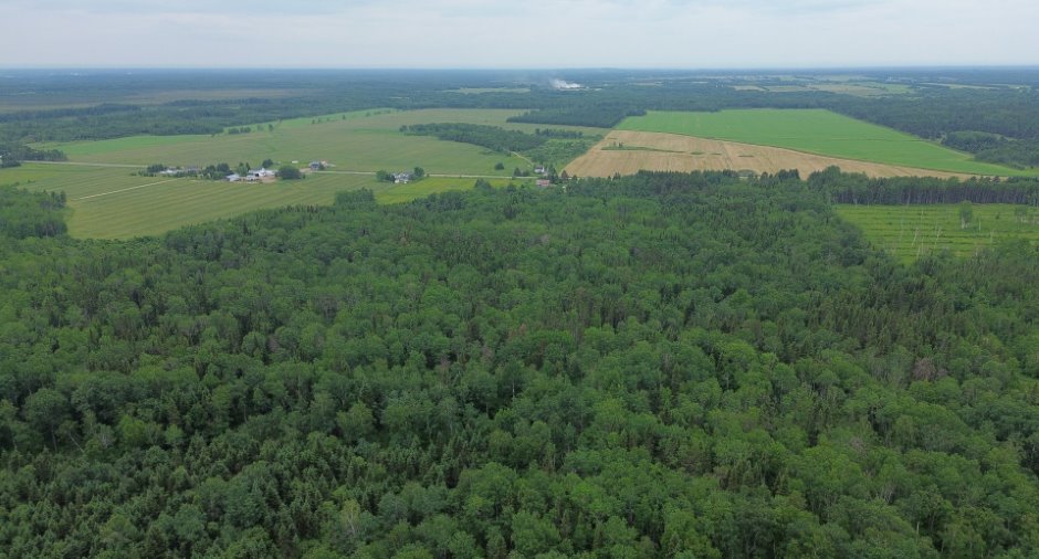 Aerial photo