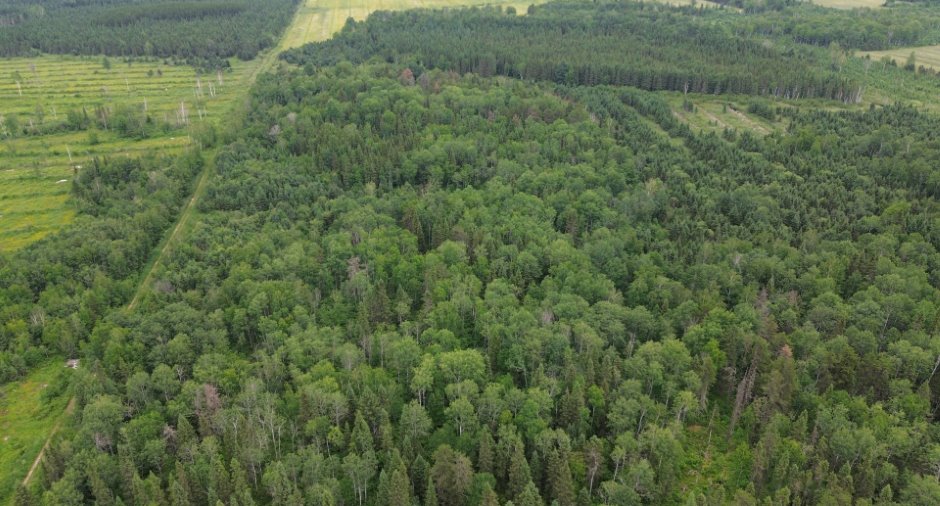 Aerial photo