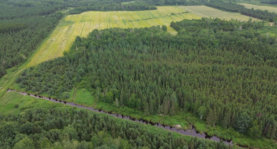 Aerial photo