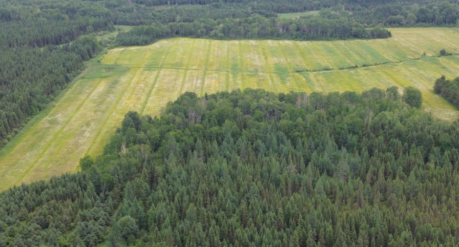 Aerial photo