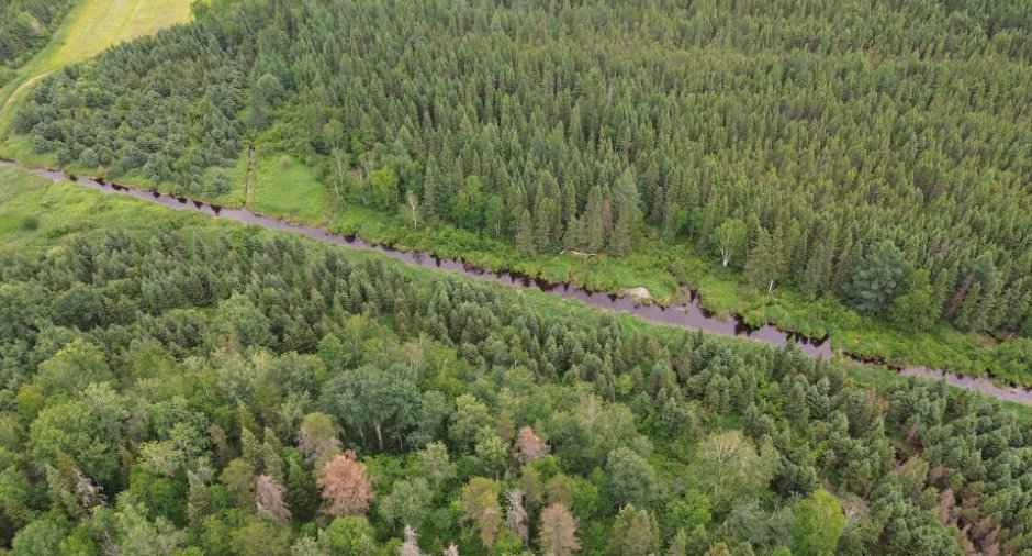 Aerial photo