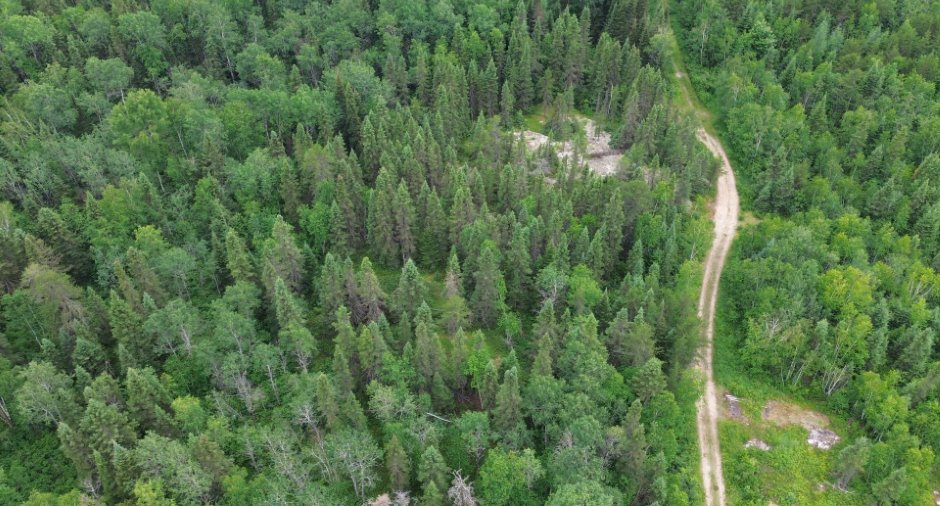 Aerial photo