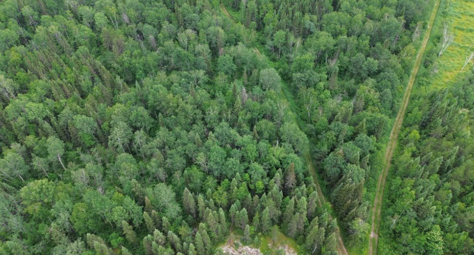 Aerial photo