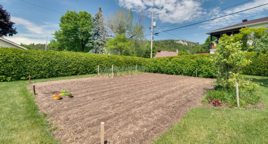 Jardin