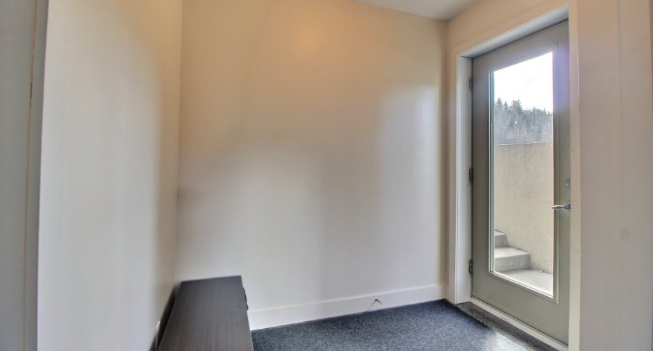 Hall d’entrée/Vestibule