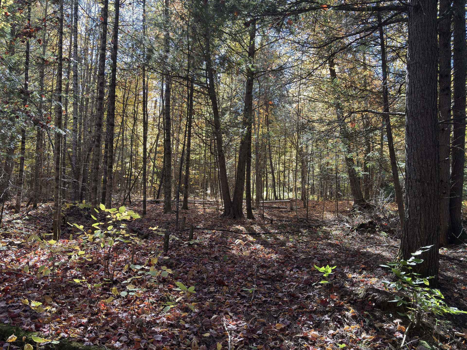 Route 323 — photo 3