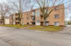 Overall View