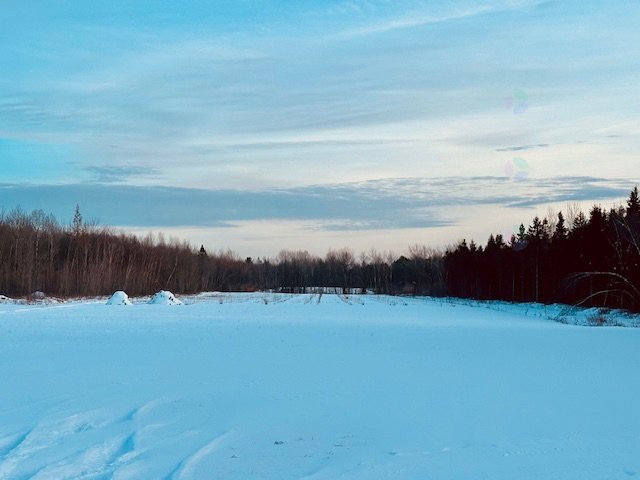 Terre/Terrain