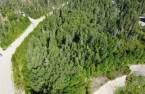 Terre/Terrain