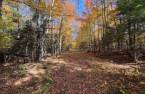 Terre/Terrain