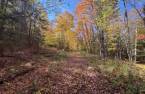 Terre/Terrain