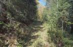 Terre/Terrain
