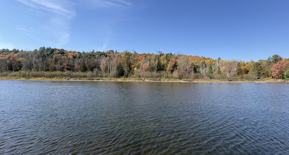 Bord de l'eau