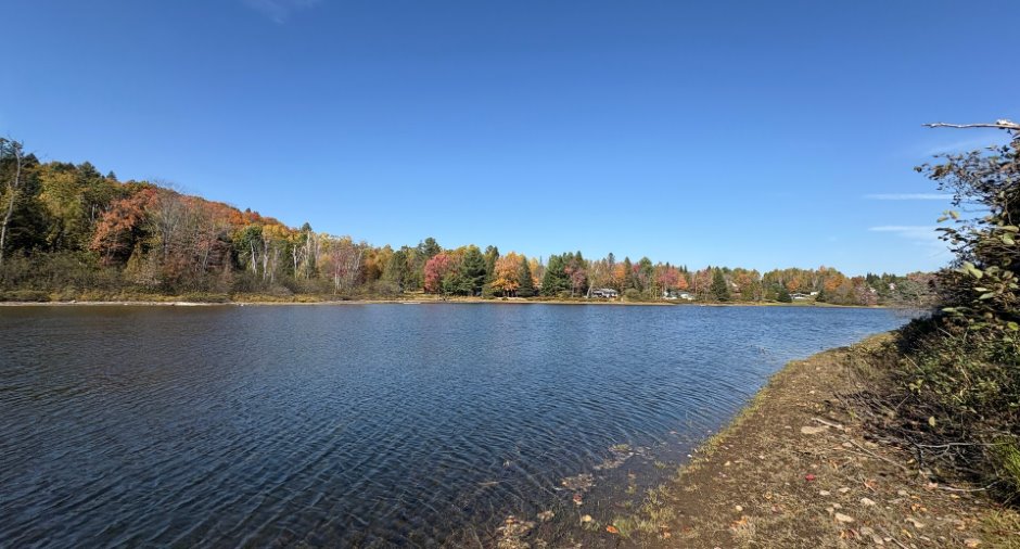 Bord de l'eau