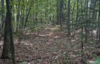 Terre/Terrain