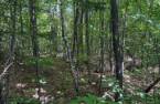 Terre/Terrain