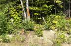 Terre/Terrain