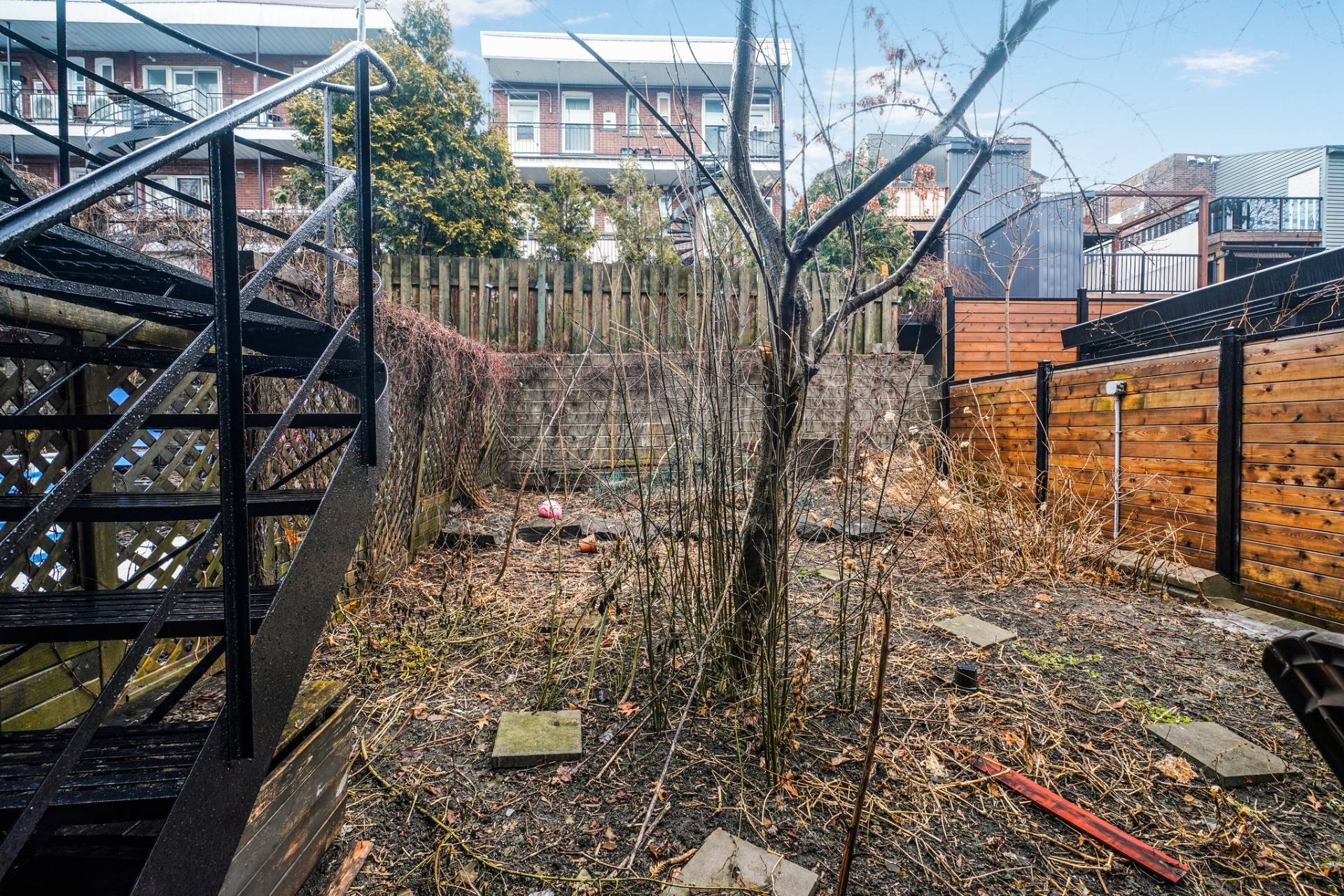 Backyard