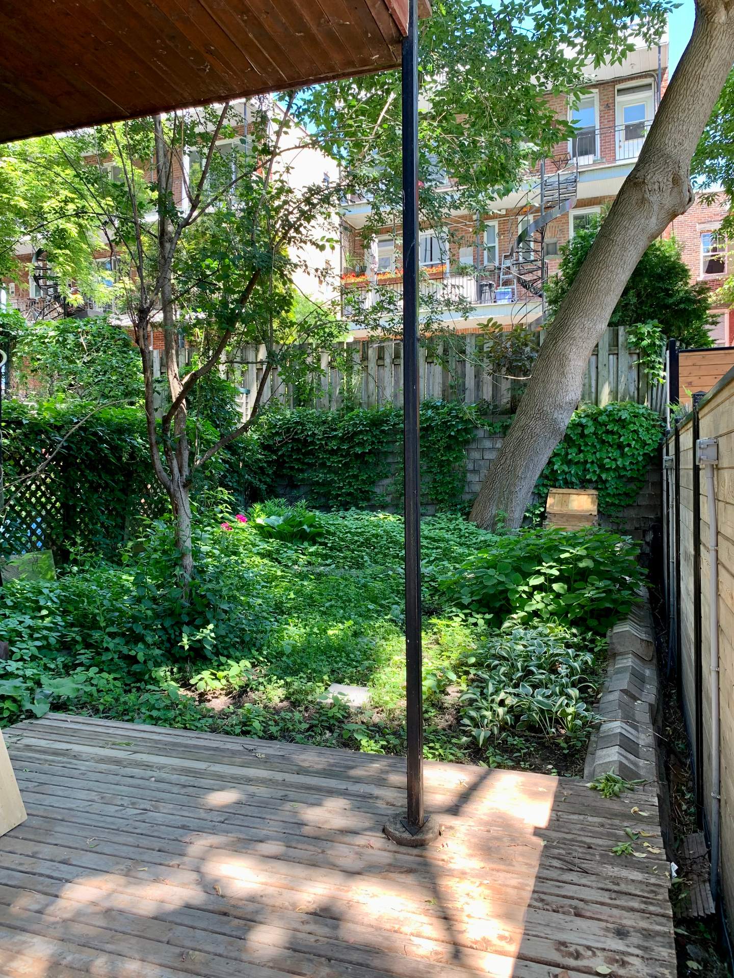 Backyard