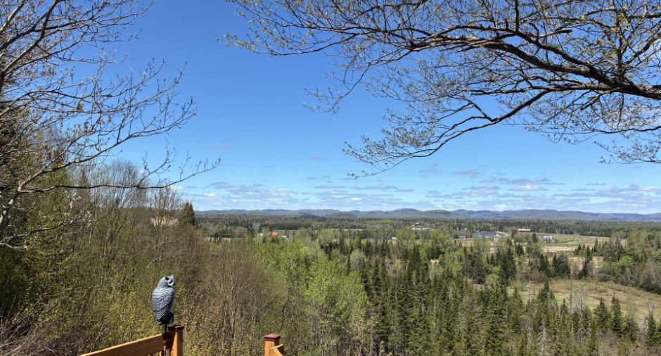 View