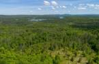 Terre/Terrain