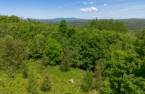 Terre/Terrain