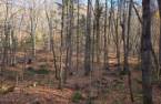Terre/Terrain