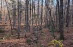 Terre/Terrain