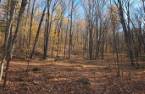 Terre à bois