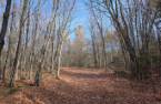 Terre à bois