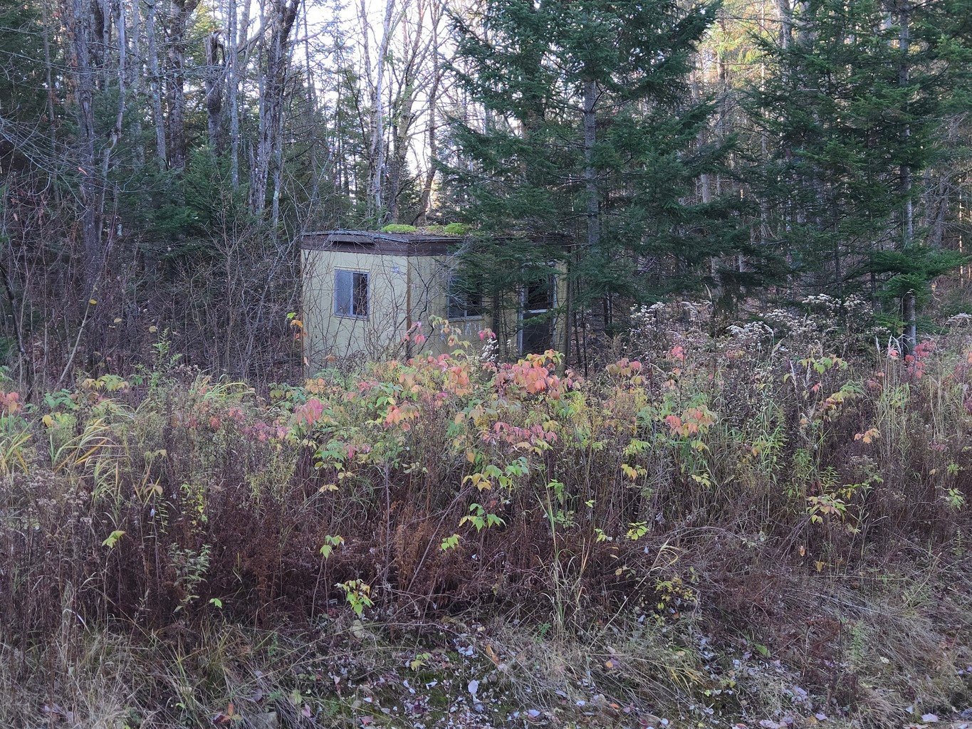 109 Ch. Gagnon — photo 3