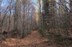Terre à bois