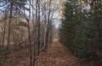 Terre à bois