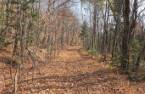 Terre à bois