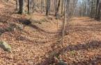 Terre à bois