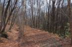 Terre à bois