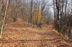 Terre à bois