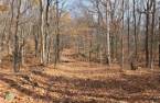 Terre à bois